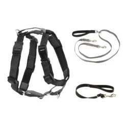 3 In 1 Harness With Two Point Control Leash -Pawsy Store xxnjr8kk1kyzpmga3dmz 541dd4e3 e8c5 4dfb 8208 d10887e2d818