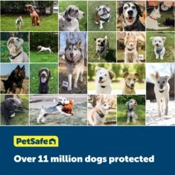 Stay & Play® Compact Wireless Fence Extra Transmitter -Pawsy Store yanbdmv5urn5mujpurwu aedf6f73 b563 441a 995e 5dc62592cd3e