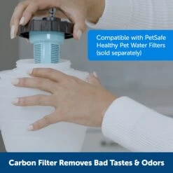 Healthy Pet Water Station™ -Pawsy Store ynnc5vyjvhacqmp8mzol 86ab33ac 6578 4874 82b4 9bf4c0367a9c
