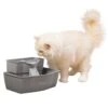 Drinkwell® Multi-Tier Pet Fountain 2 Drinkwell® Multi-Tier Pet Fountain -Pawsy Store yuf04zxvli8qtsqs997a 79f6ba61 5206 40ee 9132 bfbc74f1f221