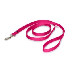 Nylon Leash 36 Nylon Leash -Pawsy Store zbuxm0u1i1jlon508awk 386e0b42 68b4 40dc 9cc9 ea201d097565