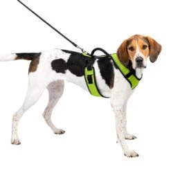EasySport Harness -Pawsy Store zcu7e2nor8rlifjnikvc 7ee1fe8f 5d94 4e53 a01c 79b9231992d9