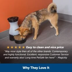 Healthy Pet Food Station™ -Pawsy Store zoaoeoxhjsq1fqp768la 73b60950 f114 409c 8cd3 19fd8b4044ca